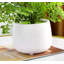 Sapin artificiel 15,75 po