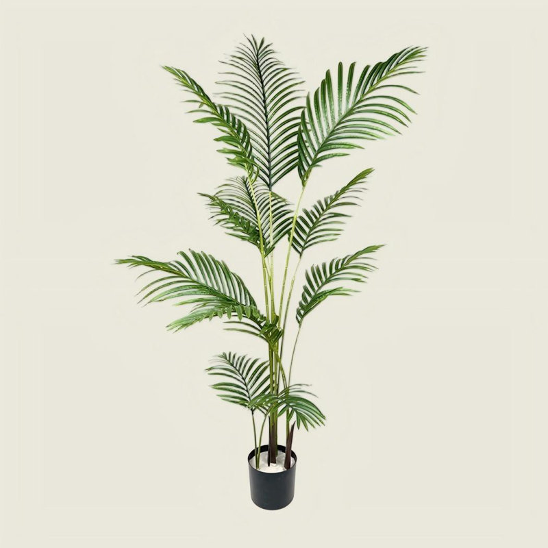 Palmier sagoutier Forest Forest pour bureau, salon, patio, H 70,87 po x l 19,69 po x P 19,69 po