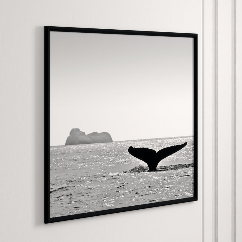 Majestic Orca' Framed Photographic Print