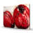 Two Red Tulips - Floral Red Canvas for Home Decor