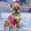 Décoration de Noël festive bouledogue français (pile incluse)-1387761296