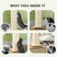 Cat Tree / Condo-1198480049