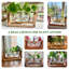 Plante terrarium avec support en bois-1124183995