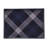 Blue Plaid Serving Tray, 19X14 Inch
