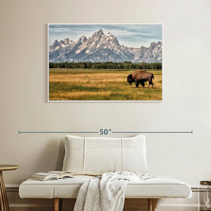 Bull Bison à Grand Teton, Cadre flottant blanc, 40 po x 27 po
