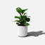 Pot à fleurs rond Demi Series-83894856-97676810-83894852
