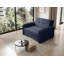 Sarlota 2 Seater Sofa Bed-2046638865