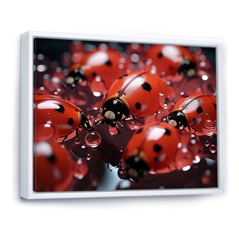 Dreamy Ladybug Reflections sur toile, Cadre flottant blanc, H 12 po x l 20 po x P 1 po