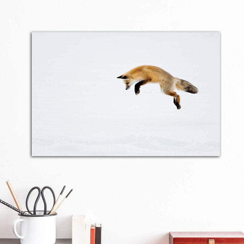 USA, Yellowstone National Park, Wyoming. A Red Fox Leaps for His Prey Hiding Under the Snow. 1 Piece Wrapped Canvas Wall Art