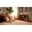 Chauncey 53" Console Table-227203106