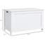 Coffre de rangement 29,9 po avec 2 charnières de sécurité, boîte en bois-1345744304