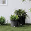 Mitsuye Pot Planter-1175865496