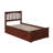 Huntsville Kids Platform with Trundle-351641652-351641655