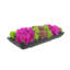 Orchid and  Arrangement-286518433-286518434
