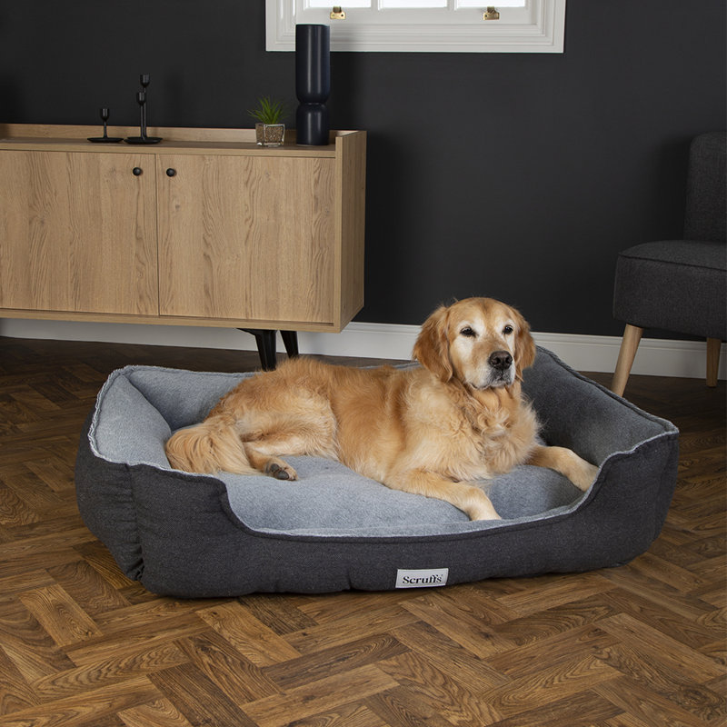 Scruffs Harvard Orthopedic Dog Bed - For Ultra Support & Comfort, 10cm H x 90cm W x 70cm D, Graphite Grey