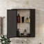 Armoire à pharmacie murale Modern Modern avec miroir et 2 tablettes intérieures pour le rangement de la salle de bain | Idée de cadeau