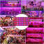 Zhu Grow Light-88957717