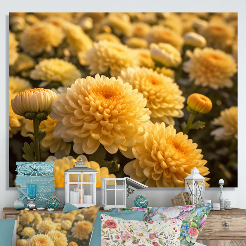 «Yellow Chrysanthemums Field» sur impression sur toile, H 30 po x l 40 po x P 1,5 po, Toile tendue