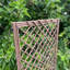 Amerion 120cm H x 45cm W Wood Lattice Panel Trellis