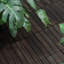 Carreaux de terrasse entrelacés à rayures, bois d'acacia gris clair carré 12 po x 12 po-122988012