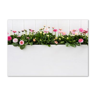 Pink Daisies - Wrapped Canvas Print