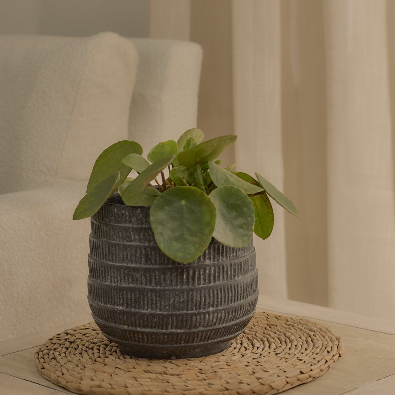 Handmade Pot Planter