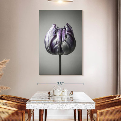 Harnek Baroque I
