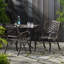 Chaise avec accoudoirs Phoenix (ensemble de 2)