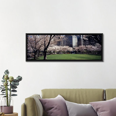 " Trees In A Park, Central Park, Manhattan, New York City, New York State, USA " by Panoramic Images