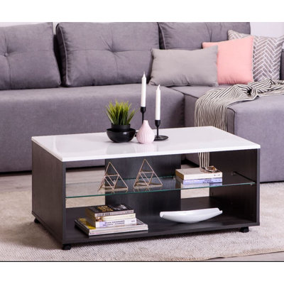 Antowain Coffee Table with Storage