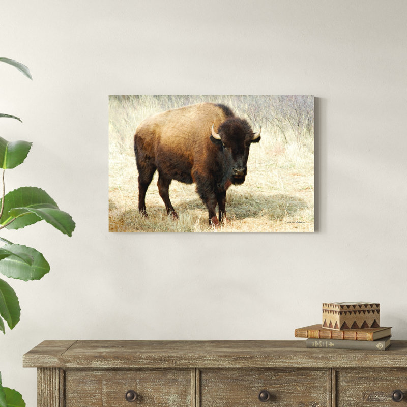 " American Bison II " by Debra Van Swearingen, 20" H x 30" W