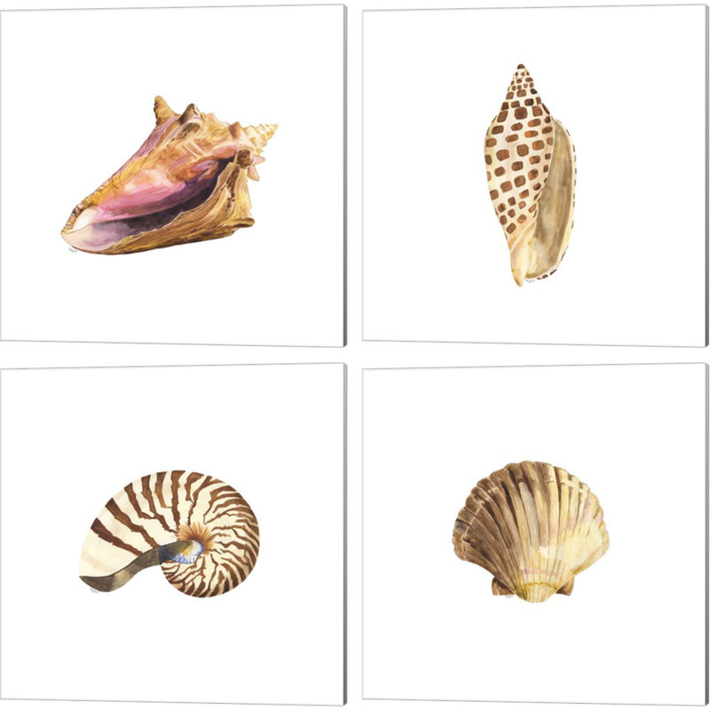 «Oceanum Shells White» par Tara Reed, art sur toile (ensemble de 4)