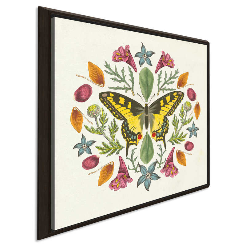 « papillon mandala iii », impression, H 21,5 po x l 21,5 po x P 2 po, Cadre flottant espresso