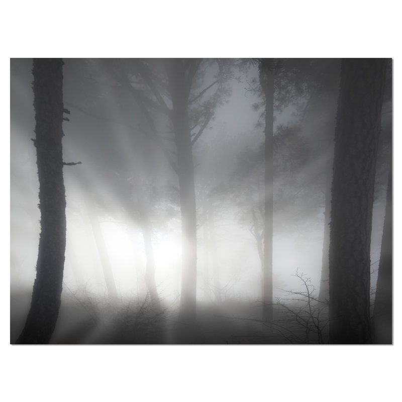 «Forest in Heavy Autumn Mist», impression sur toile tendue, H 30 po x l 40 po x P 1 po