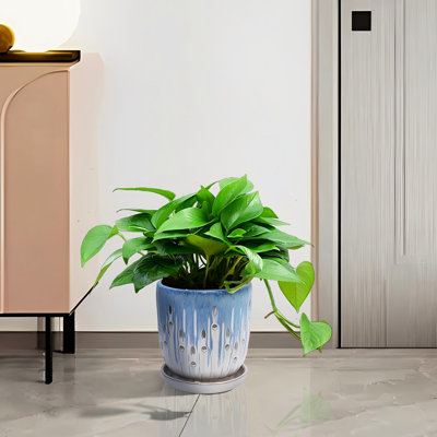 Pots de fleurs en céramique bleus de 8 po, céramique renforcée, finition brillante, drainage pour la santé des racines dans les environnements intérieurs et extérieurs, pots de fleurs bleus, intempéries et intégrés