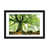 Black Framed Fine Art Paper selected