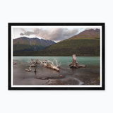 Moonlight Driftwood Ii Print