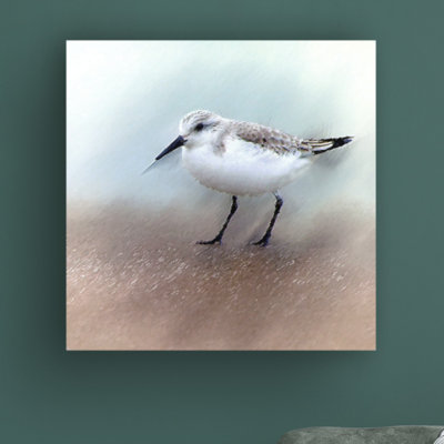 «Sand Piper B» par David Manlove, impression sur toile tendue