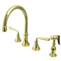 Polished Brass
