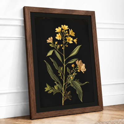 Golden Study Botanical - Framed Print