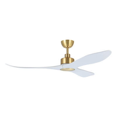 Ventilateur de plafond Zionne