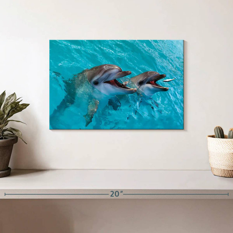 Brampt Cute Dolphins, 8" H x 12" W