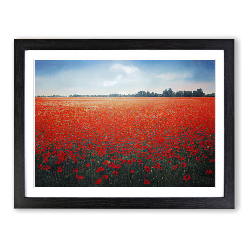 Hewarming Poppy Field Flowers - Single Picture Frame Print, Black, 46cm H x 64cm W x 2cm D
