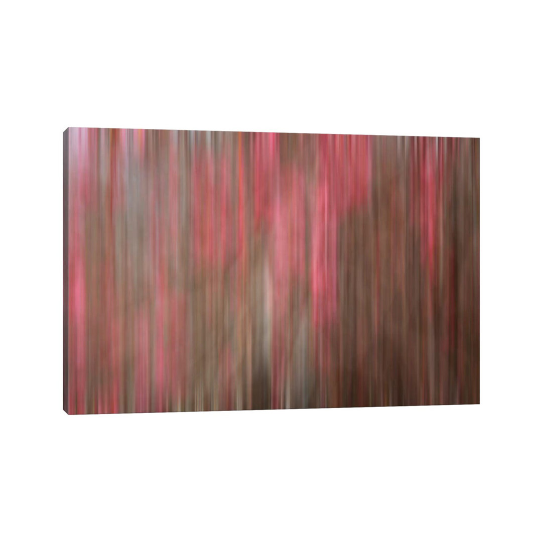 Crabapple Tree Blossoms von Savanah Plank - Gallery-Wrapped Canvas Giclée on Canvas