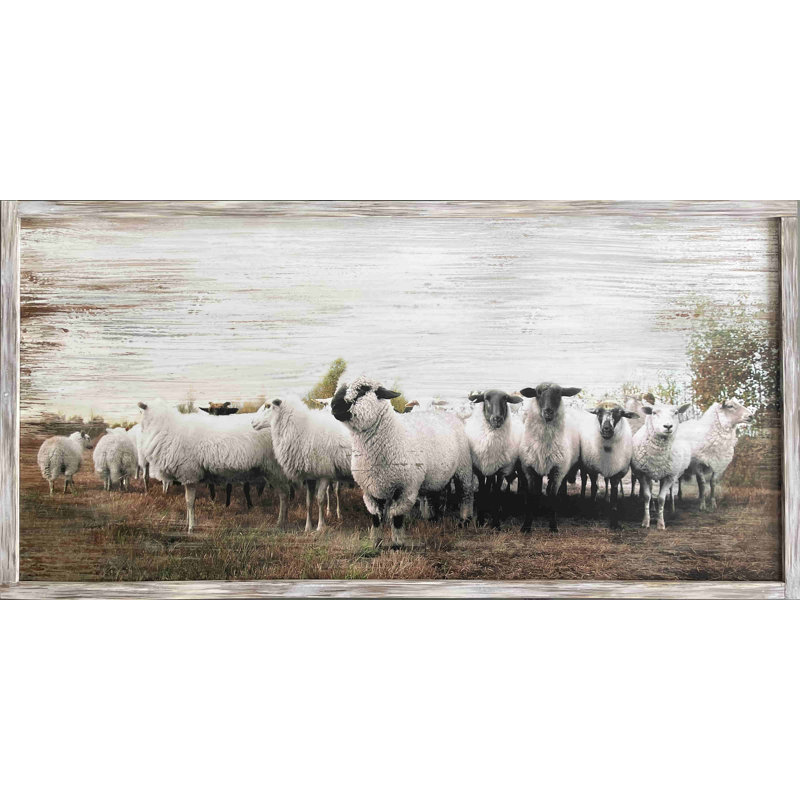 Grazing Sheep On Canvas Print, H 24 po x l 48 po x P 1,5 po