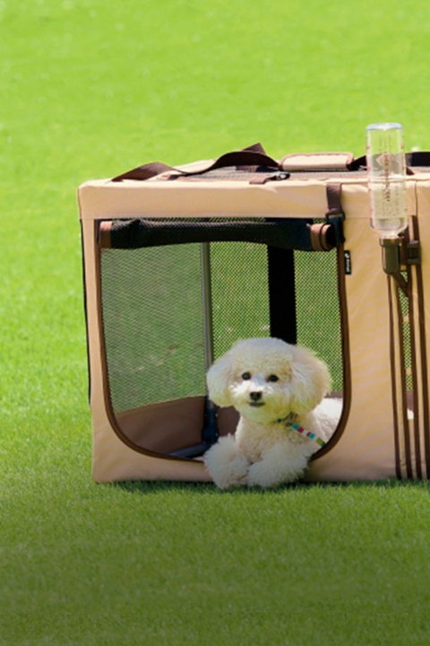 Foldable Travel 3-Way Pet Crate