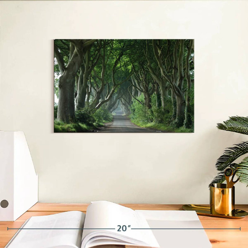 Harnek Dark Hedges, 8" H x 12" W
