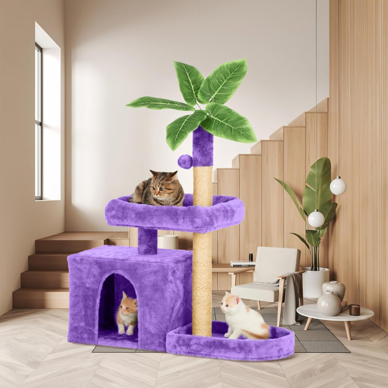 Braidyn-Drew 59'' H Cat Tree, Purple