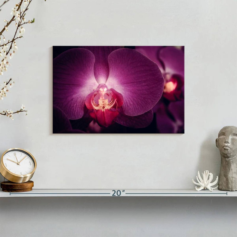 Harnek Purple Moth Orchid, 8" H x 12" W