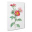 Red Aster Flowers by Pierre - Joseph Redoute - Wall Art-89191499-89191502